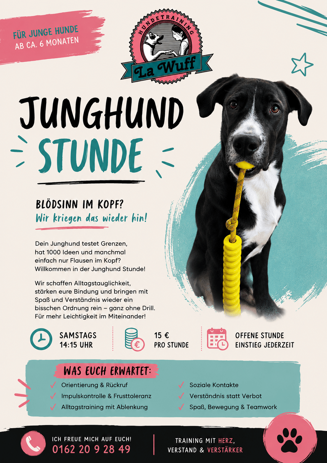 Junghund-Stunde